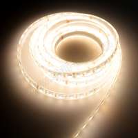 High Quality 24VDC double white 2800K&6500K Bi-color silicone led tape for stage